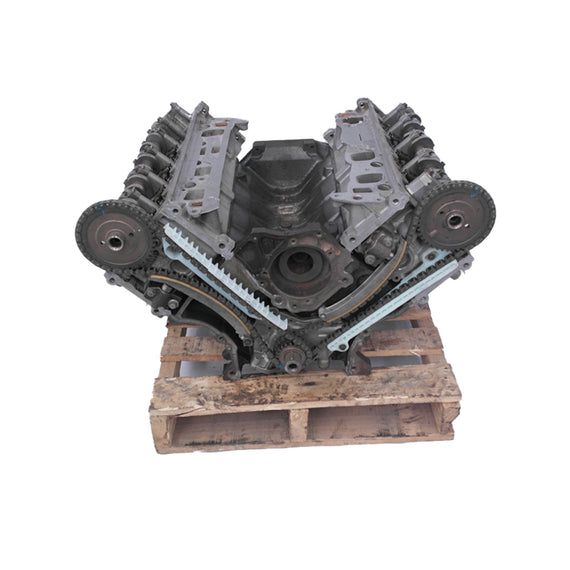 Ford 4.6 Y 5.4 16 V Econoline 1998-2005